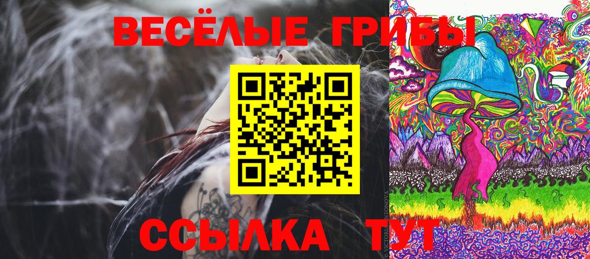 Галлюциногенные грибы Psilocybe Белорецк